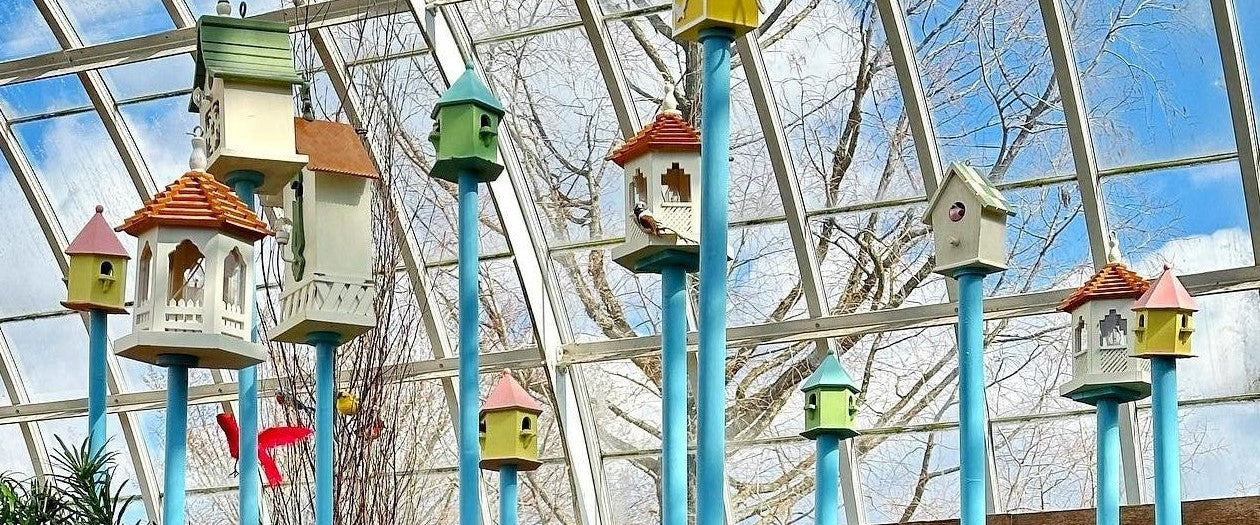 Metal bird house pole with a nest box mounted on top in a garden