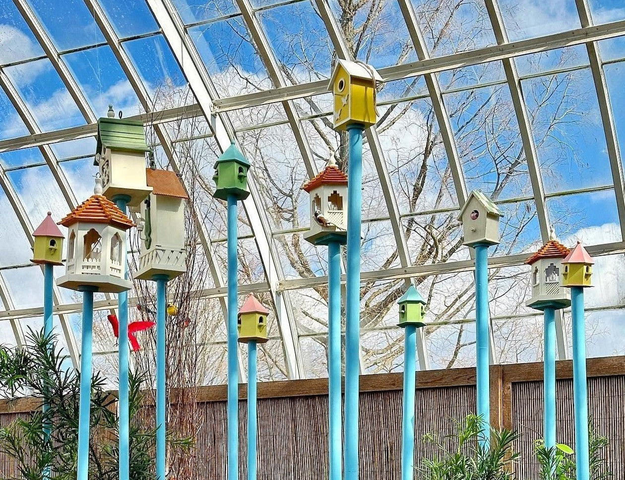 Metal bird house pole in a garden