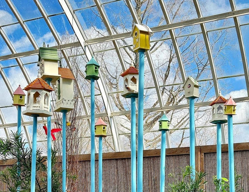 Metal bird house pole with a bird box mounted on top in a garden