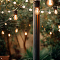 Festoon Lighting Pole